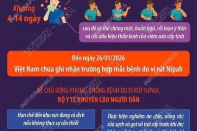 PHÒNG CHỐNG BỆNH DO VIRUS NIPAH